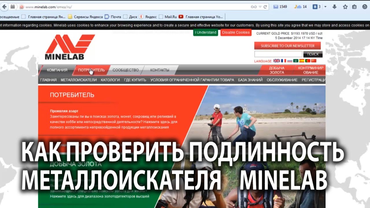 Как проверить подлинность металлоискателей фирмы minelab Как проверить подлинность металлоискателей фирмы minelab